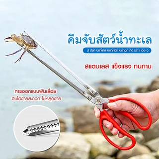 ที่คีบสแตนเลส คีบสัตว์น้ำ/คีบหอย/ปู/ปลา ที่คีบก้านยาว ที่คีบปลาไหล