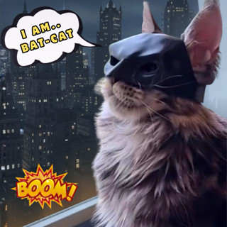 [🦇พร้อมส่ง💥] หน้ากากฮัลโลวีนน้องหมาน้องแมว เพิ่มความหล่อเท่ใ…