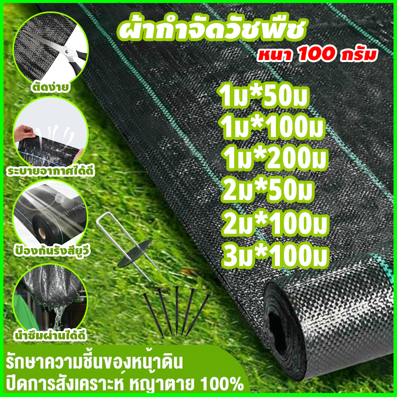 (หนาขึ้น) พลาสติกคลุมดิน ผ้าคลุมหญ้า พลาสติกคลุมวัชพืช กำจัดวัชพืช ผ้าคลุมวัชพืช พลาสติกเกรดส่งออก ผสมUV ฆ่าหญ้า 3×50