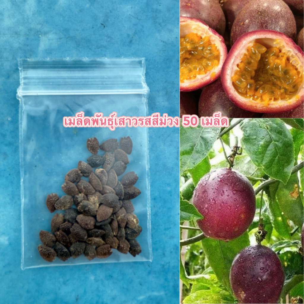 เมล็ดพันธุ์เสาวรสสีม่วง 50 เมล็ด