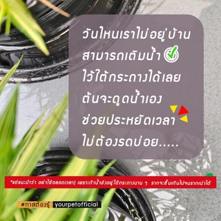 จานรองใต้กระถาง 4 นิ้ว 6 นิ้ว 8 นิ้ว 11 นิ้ว วัสดุแข็งแรง ทนทาน ดีไซน์ลึก ช่วยเก็บน้ำได้เยอะ ใช้งานได้ยาวนาน
