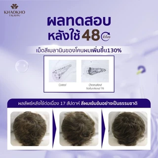 [เซตสุดคุ้ม] Khaokho Talaypu เขาค้อทะเลภู แชมพูและแฮร์โทนิค สูตรอัญชันและเฮนน่า (450 มล.+ 15 มล.)