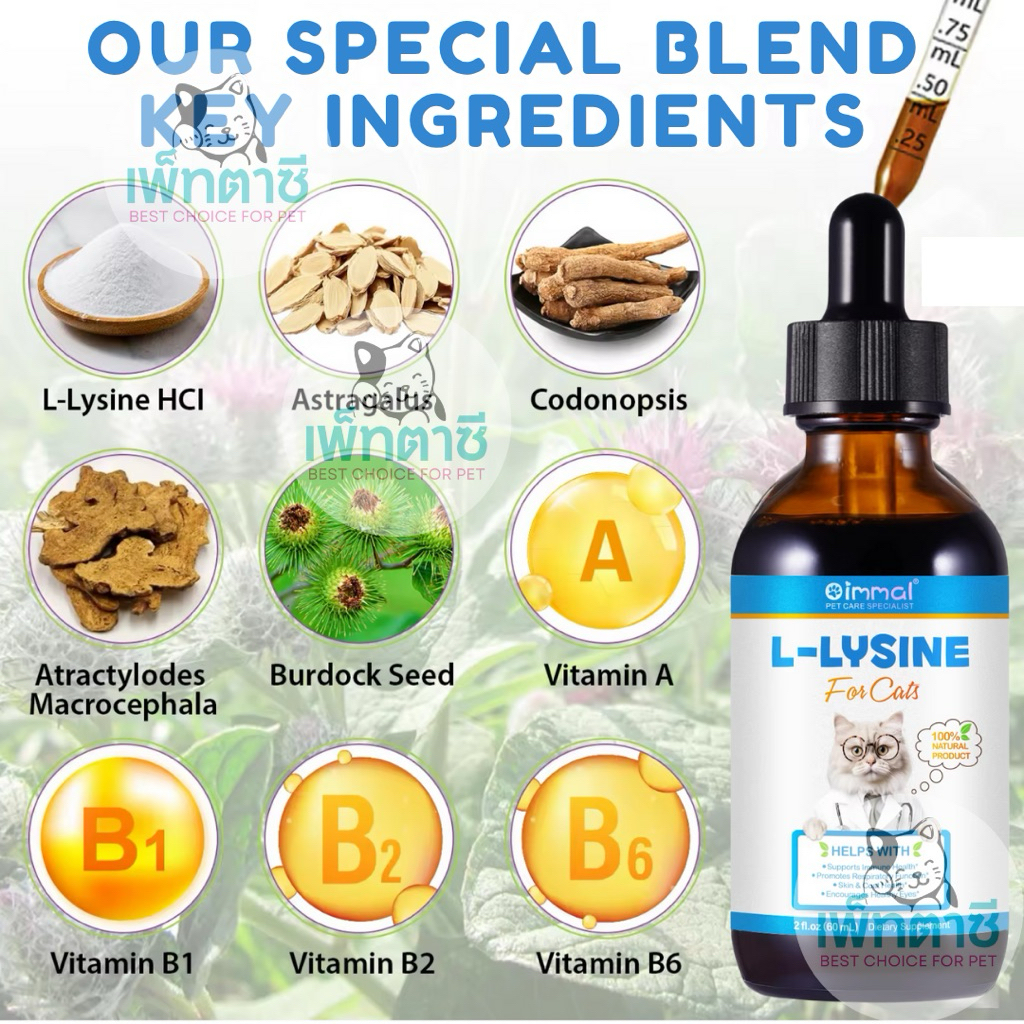 Oimmal L-Lysine ไลซีนแมว เสริมภูมิ ต้านหวัดแมว ไข้แมว ไอ จาม บำรุงสายตา วิตามินแมว (สูตรน้ำ) รูปที่ 4