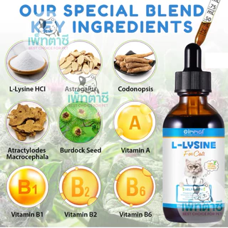 Oimmal L-Lysine ไลซีนแมว เสริมภูมิ ต้านหวัดแมว ไข้แมว ไอ จาม บำรุงสายตา วิตามินแมว (สูตรน้ำ)