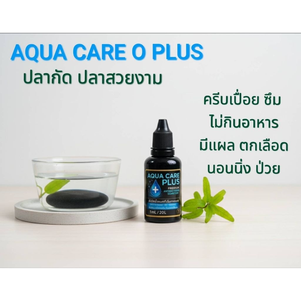 AQUA CARE PLUSดูแลปลาครีบเปื่อยซึมเบื่ออาหารไม่ว่ายสำหรับปลากัดปลาสวยงาม
