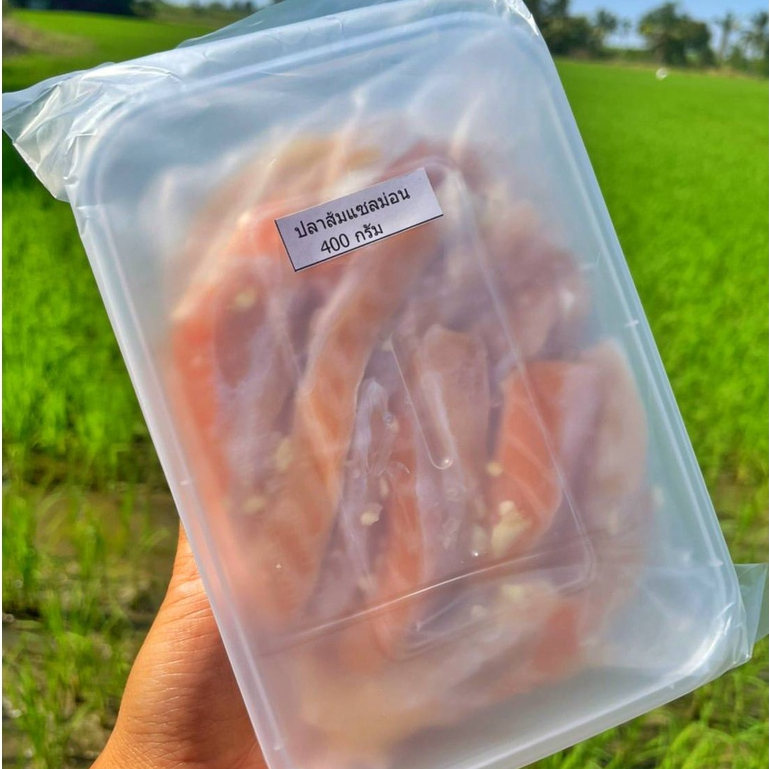 [ 400 กรัม ] เเซลม่อนส้ม ส่วนท้องแซลม่อน สินค้าผลิตสดใหม่พร้อมส่งทุกวัน