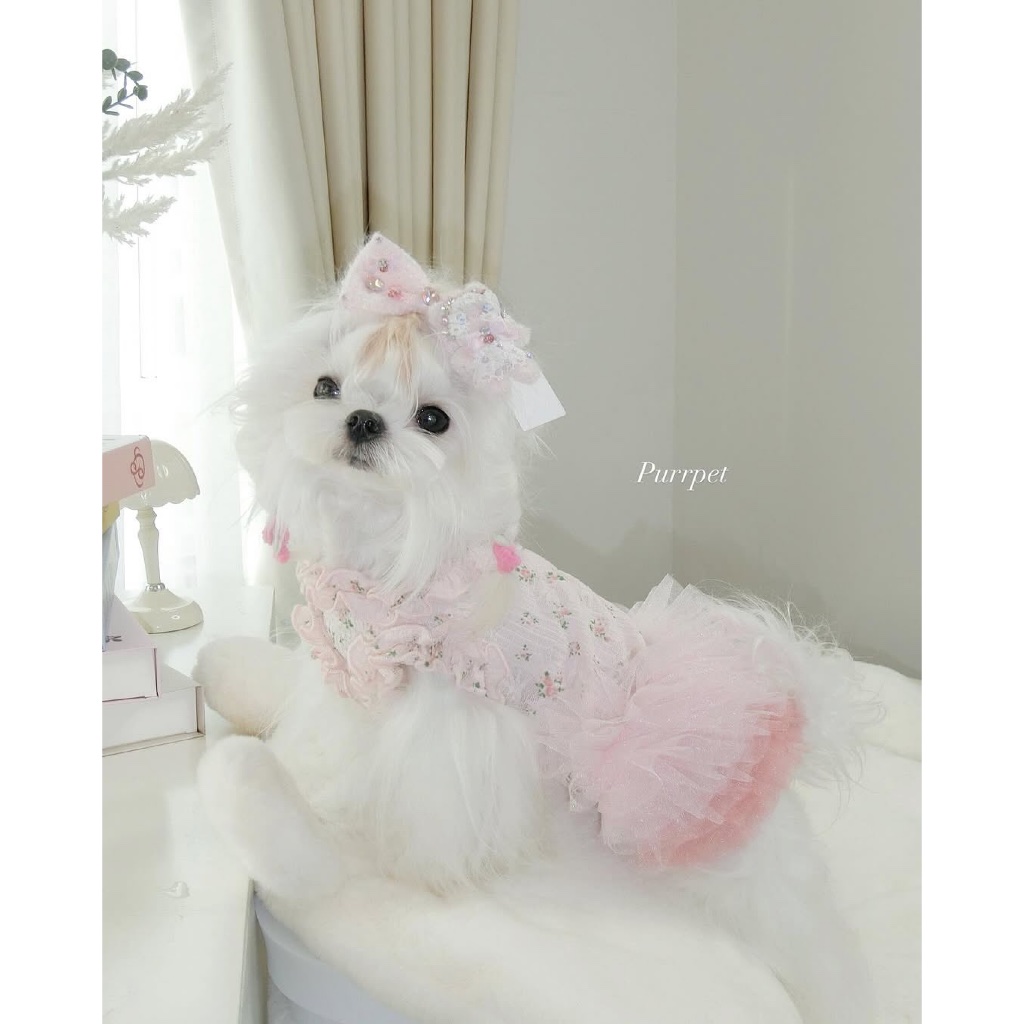 ชุดชูการ์บัลเลต์ Sugar Ballet Purrpet