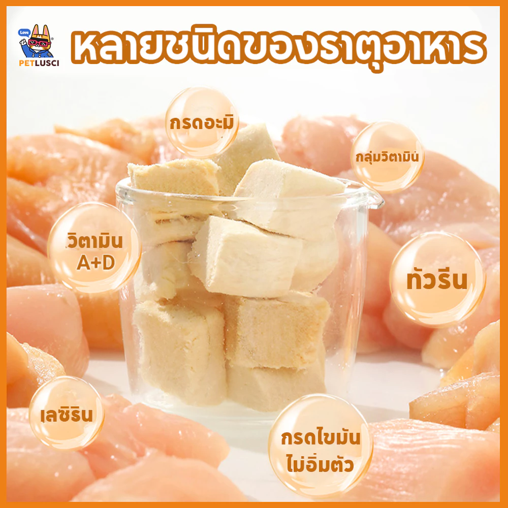 PETLUSCI🌞อกไก่ฟรีซดราย 100%อกไก่เต๋า 640g ฟู้ดเกรด ขนมแมว ฟรีซดรายแมว ไก่ฟรีซดราย ขนมฟรีซดรายแมว thumbnail 5