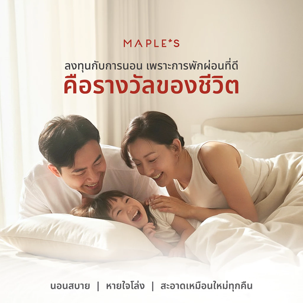 MAPLE S ผ้าปูที่นอนรัดมุม รุ่น Solid/Jacquard กันไรฝุ่น สูง 6-10 นิ้ว thumbnail 8