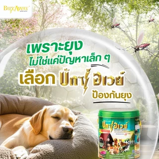 บักซ์อเวย์ 28 ขด (1 ลัง/6 กล่อง) พร้อมถาด ยาจุดกันยุง สำหรับสัตว์เลี้ยง