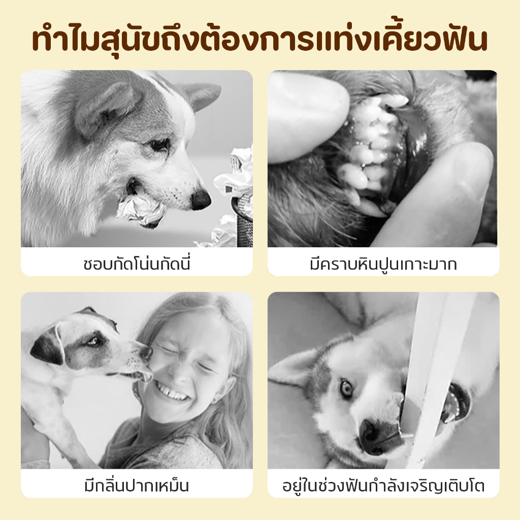 ขนมสัตว์เลี้ยง ขนมสุนัข ขนมสุนัข ฝึกฟันสุนัข กัดฟันสัตว์เลี้ยง 215ก ราคา ถูกที่สุด ดีลบีเคเค แกลเลอรีภาพที่ 8