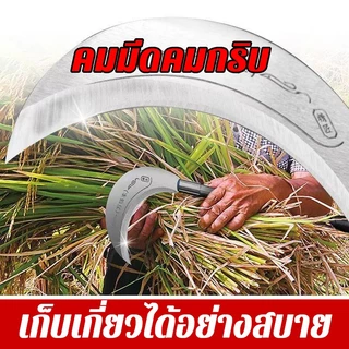 【ส่งไวจากไทย】เคียวเหล็กแมงกานีส ใช้ได้ทั้งตัดและฟัน เกี่ยวหญ้า ตัดกิ่งไม้ 1.2M ด้ามยาว ทนทาน