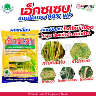 เอ็กซเซบ แมนโคเซบ 80% ขนาด 1 กิโลกรัม กำจัดโรคพืช ป้องกันโรค…