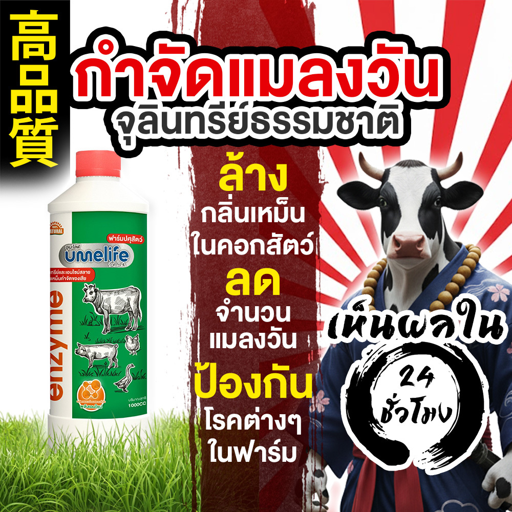 อูเมะไลฟ์ ปศุสัตว์ 1000cc แพ็ค 1-3 ขวด กำจัดกลิ่นคอกสัตว์ ดับกลิ่นเหม็น ลดแมลงวันในคอกวัว หมู ไก่