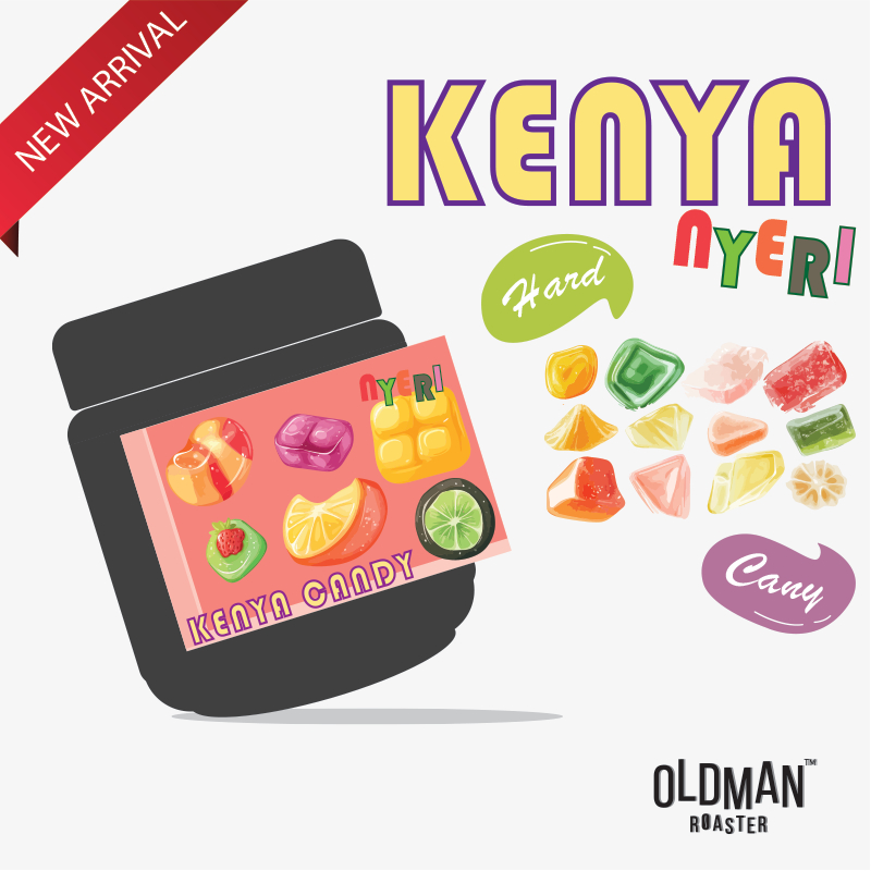 เมล็ดกาแฟ KENYA NYERI HARD CANDY (คั่วอ่อน) 200 กรัม by OLDMAN ROASTER