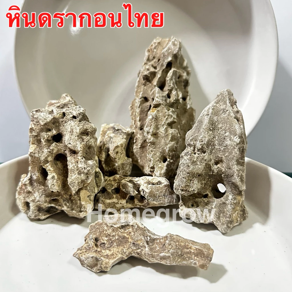 หิน แต่ง ตู้ปลา 1 กิโล กระถางต้นไม้ ดราก้อนไทย คละไซส์
