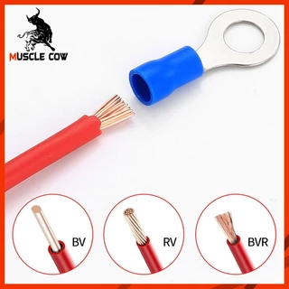 MUSCLE COW หางปลาชุดรวม 100 ชิ้น คละไซส์-สี ต่อสายไฟง่าย เหมาะงานไฟฟ้า