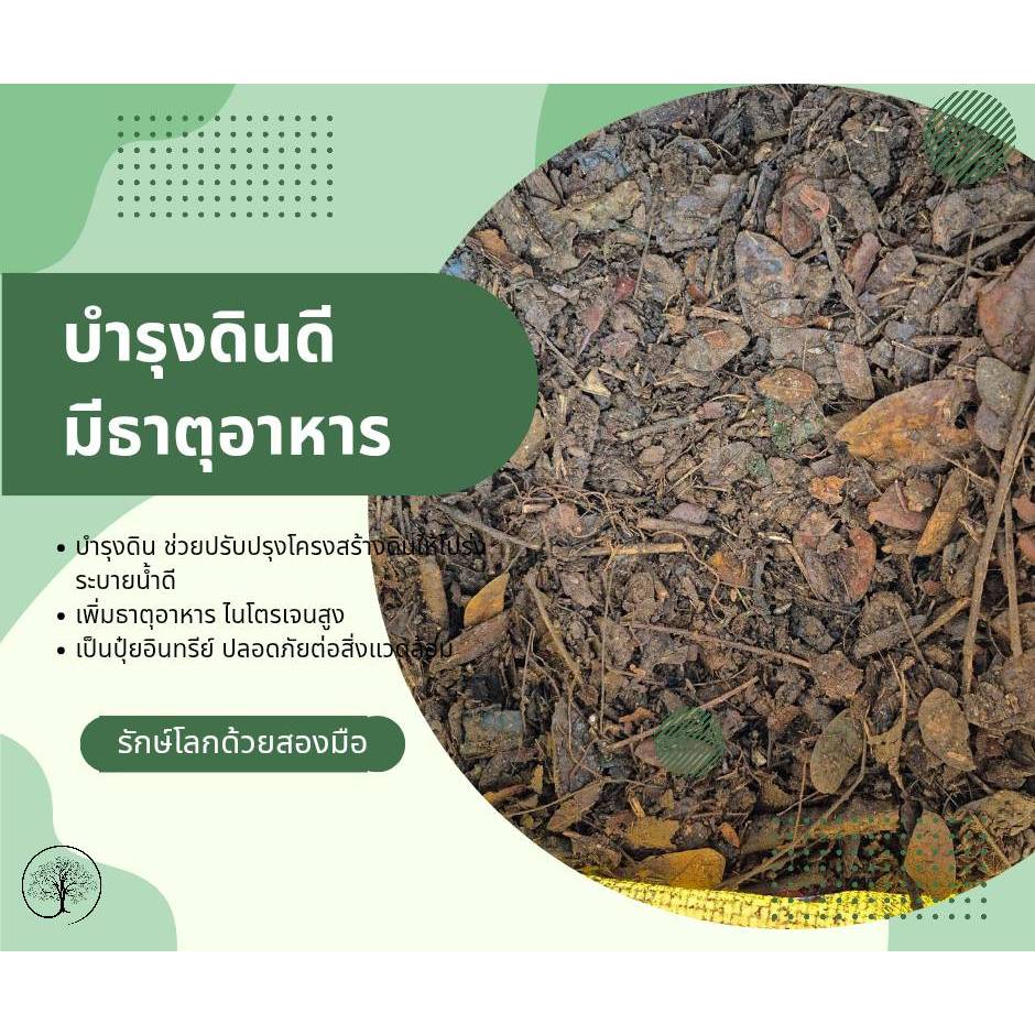 ใบก้ามปูหมักล้วน 10-11 กิโลกรัม