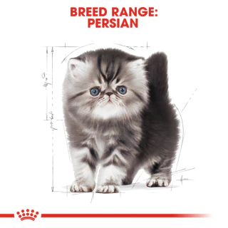*2kg.* Royal Canin Persian Kitten - ลูกแมว พันธุ์เปอร์เซีย