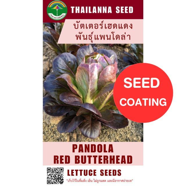 เมล็ดพันธุ์ผักสลัด บัตเตอร์เฮดแดง พันธุ์แพนโดล่า (ขนาด 0.25 กรัม) (เมล็ดเคลือบ) รหัสสินค้า SSC 1015