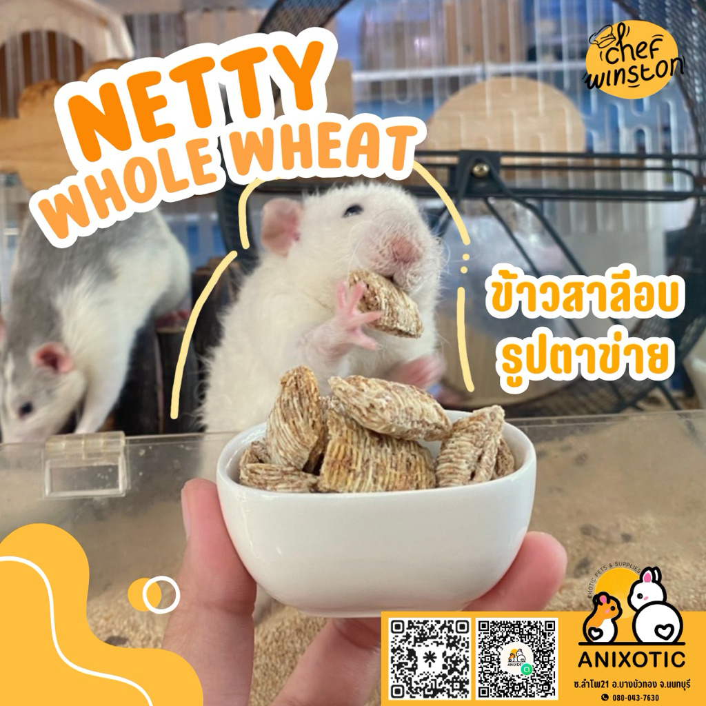 Chef Winston [Netty Whole Wheat] ข้าวสาลีอบรูปตาข่าย ขนมหนู