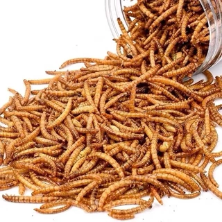 หนอนนกอบแห้ง(ขนาดแบ่งขาย)Dried Mealworms50กรัม /100 กรัม เหมาะสำหรับสัตว์เลี้ยงเช่น ชูก้า เม่นแคระ หนูแฮมเตอร์