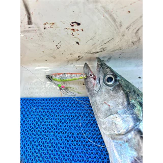 เหยื่อจิ๊ก แคส NC50 by fishingNC