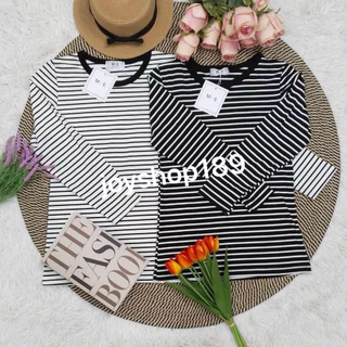 เสื้อยืดป้ายME : ลายริ้วแขนสั้น แขนยาว มีsize🔥