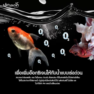 SC Oxygen ผงออกซิเจนบริสุทธิ์ โอโซน กระป๋อง เพิ่มออกซิเจนอย่างรวดเร็ว ใช้ขณะไฟฟ้าดับ หรือเคลื่อนย้ายปลา