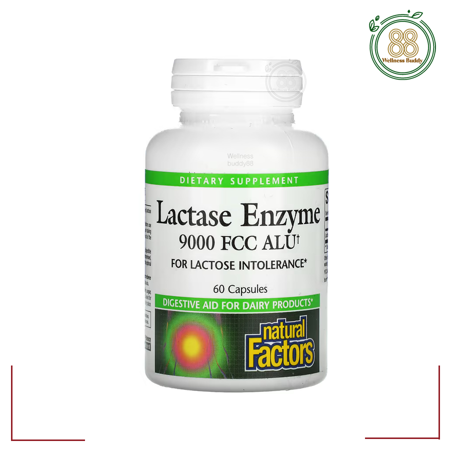 Natural Factors, Lactase Enzyme, 300 mg, 60 Capsules