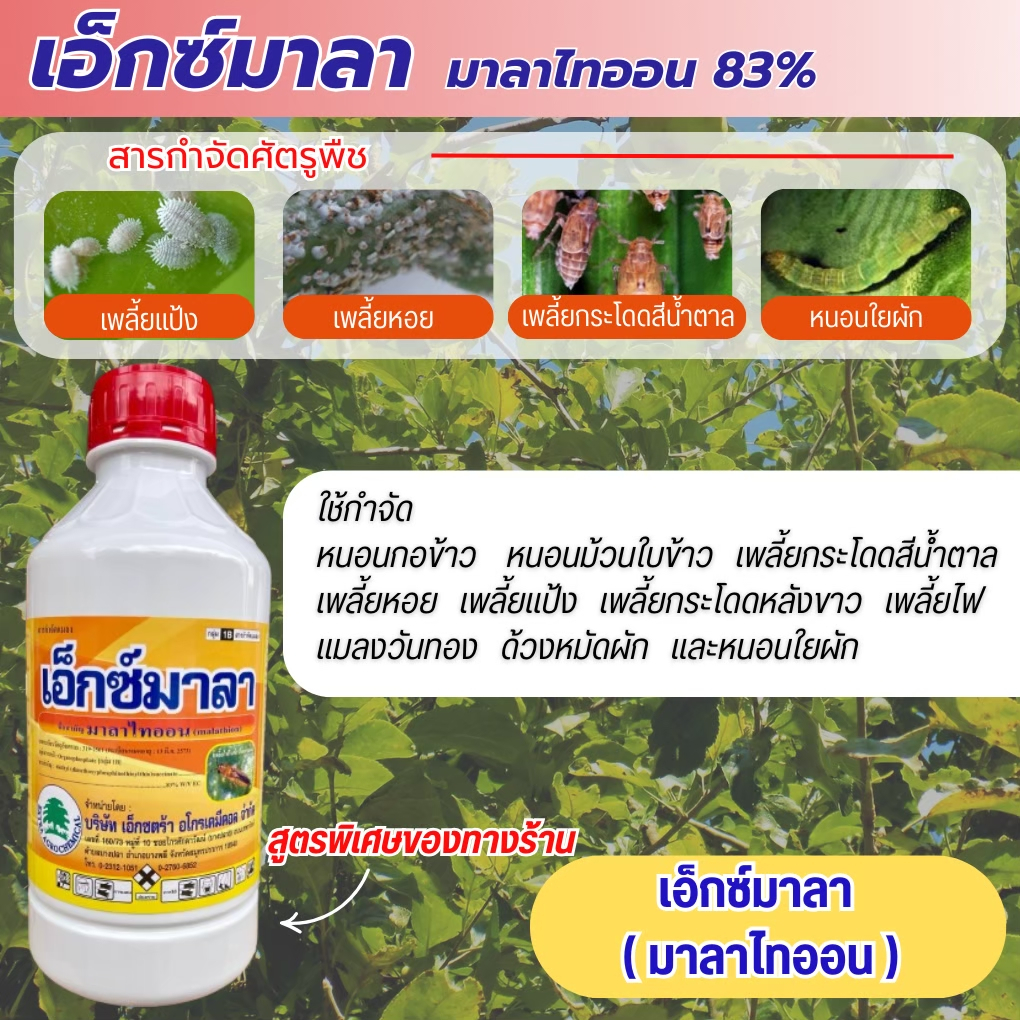 มาลาไทออน(เอ็กซ์มาลา) ขนาด 1 ลิตร ป้องกันกำจัดเพลี้ยอ่อน เพลี้ยไฟ เพลี้ยจักจั่น เพลี้ยแป้ง แมลงหวี่ขาว มวนแดง