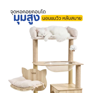 [ส่งไว/มีโค้ด] PetParadise คอนโดแมวไม้ รุ่นY36 สูง150cm แคปซูลนอนใส 1 หลุม พร้อมเปลนอน มินิมอล แข็งแรง