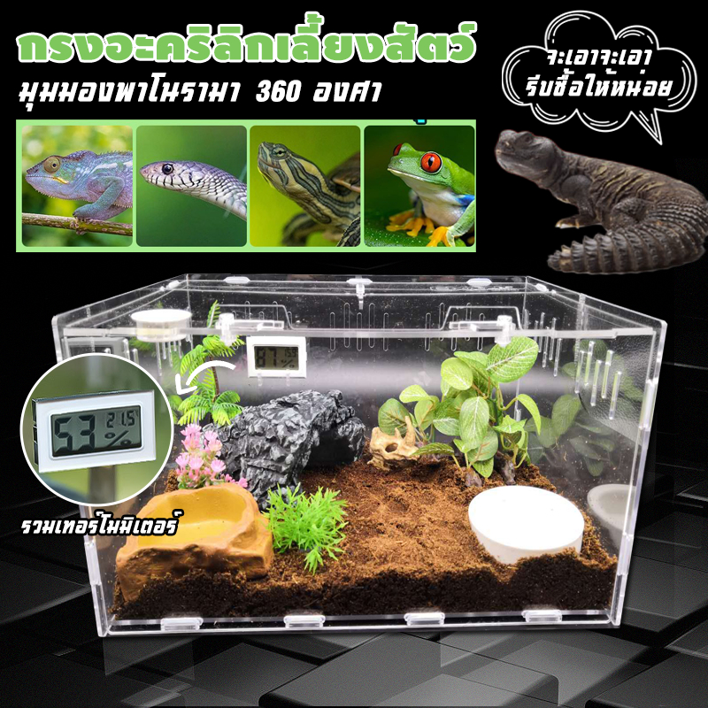 อะคริลิคหลายขนาดสัตว์เลื้อยคลาน  พร้อมเครื่องวัดอุณหภูมิที่แม่นย แบบประกอบ