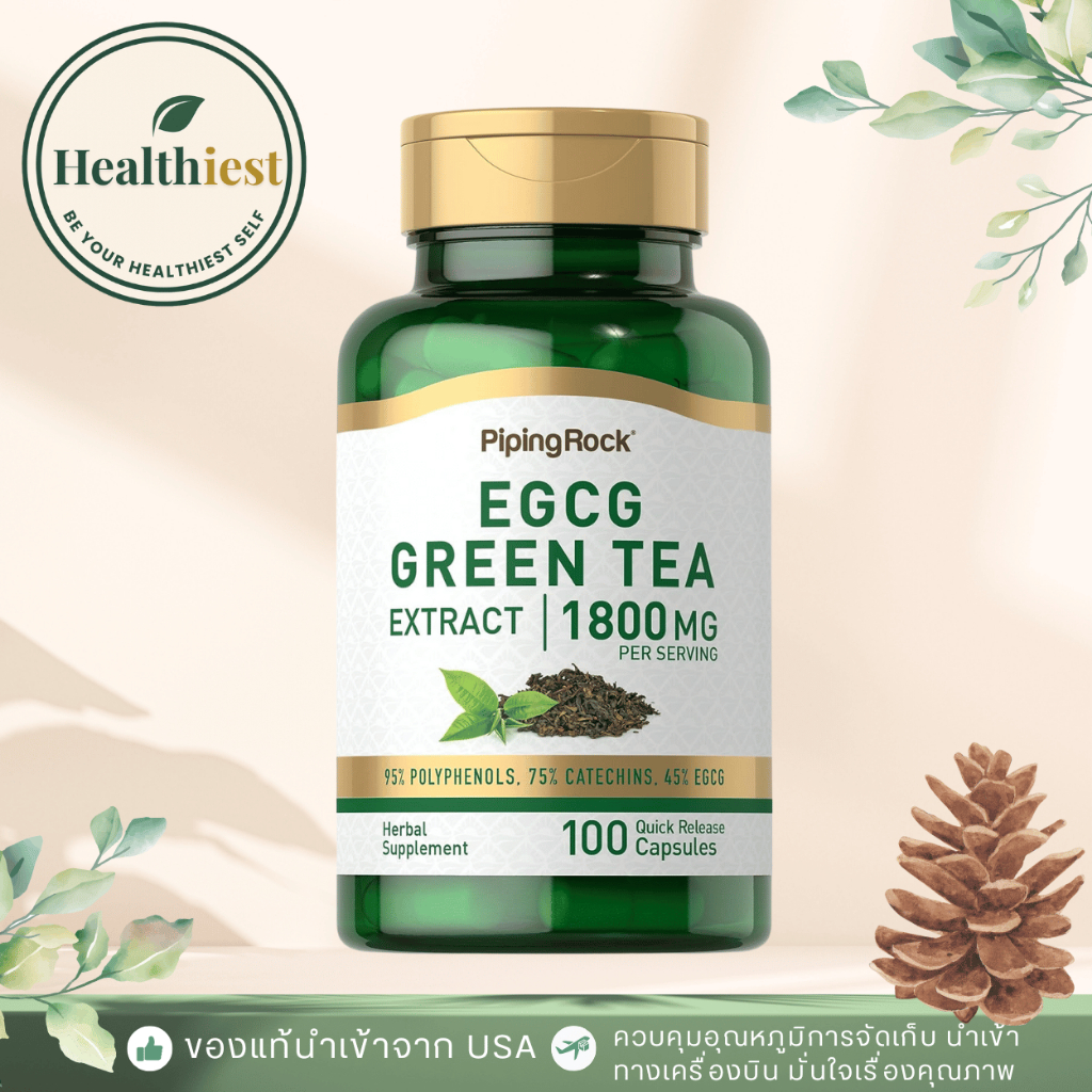 พร้อมส่ง Piping Rock Pine Bark Extract Capsules 6000 mg | 180 Capsules สารสกัดเปลือกสนฝรั่งเศษ
