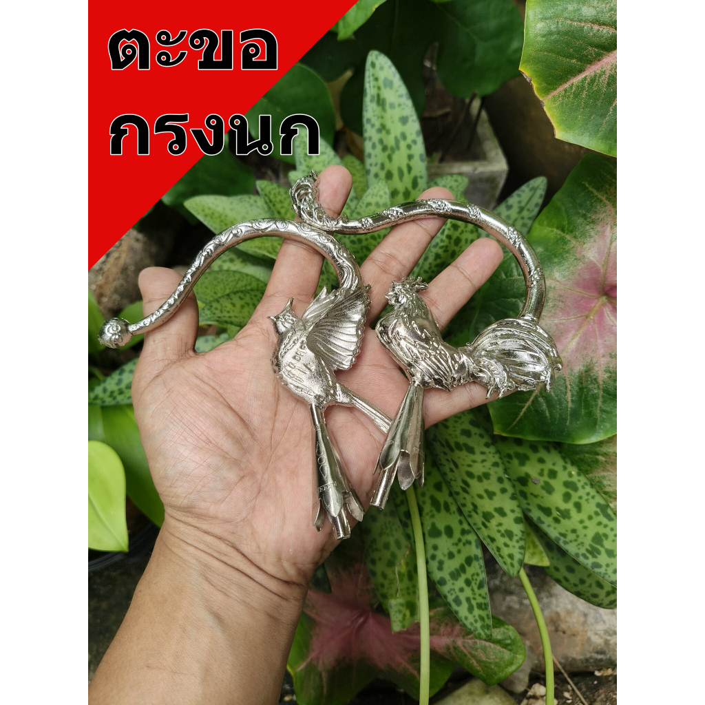 🔥ตะขอกรงนกหัวจุก🔥สวยสวย
