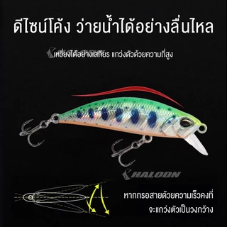 HALODN เหยื่อตกปลา ลาพลาสติก เหยื่อเบส Minnow Sinking Lure ปลอม 5 กรัม 5 ซม. พร้อมตะขอ 2 ชิ้น นตกปลาล