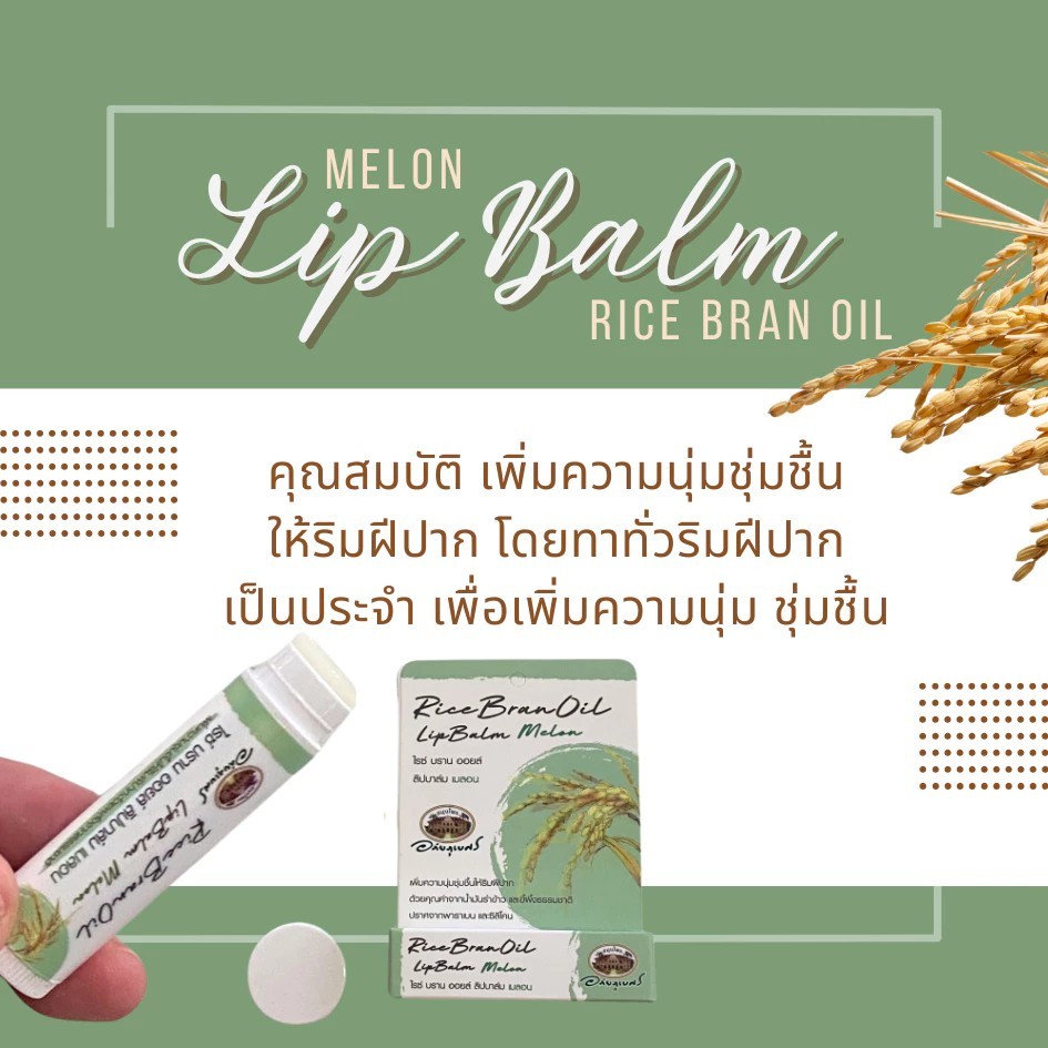อภัยภูเบศร ไรซ์ บราน ออยล์ ลิปบาล์ม (เมลอน)  1 ชิ้น✅(ผลิตใหม่ล่าสุด)✅ ราคา ถูกที่สุด ดีลบีเคเค แกลเลอรีภาพที่ 5