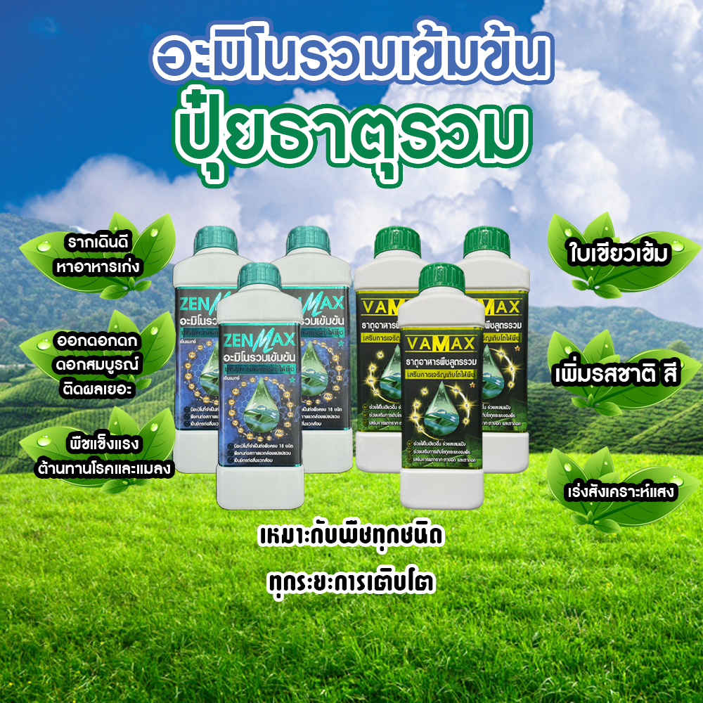 อะมิโนรวมเข้มข้น Zenmax + ปุ๋ยธาตุอาหารรวม Vamax เหมาะกับพืชทุกชนิด ทุกระยะการเติบโต 6 ลิตร