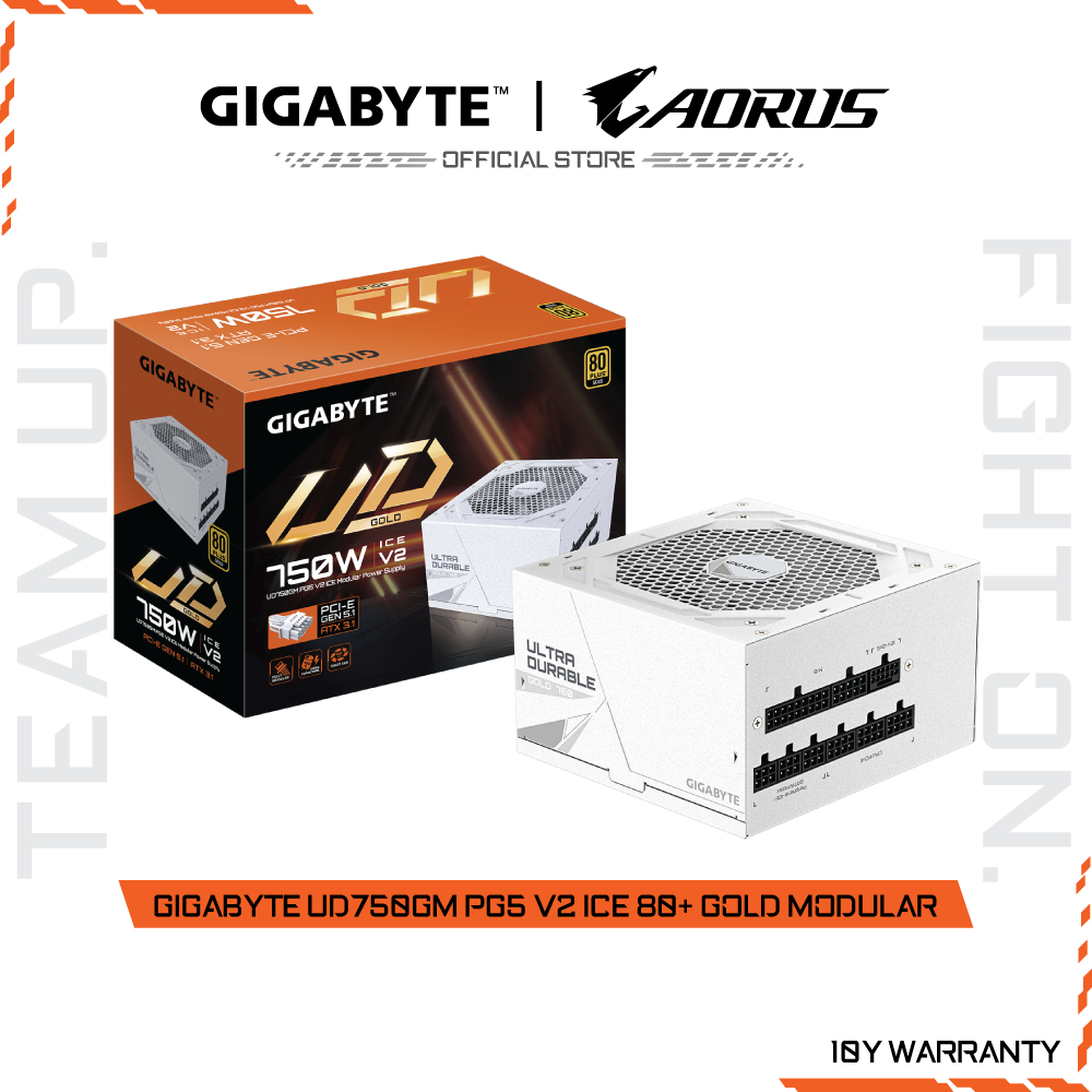GIGABYTE UD750GM PG5 V2 ICE 80+ GOLD POWER SUPPLY MODULAR (GP-UD750GM PG5 ICE-EU)