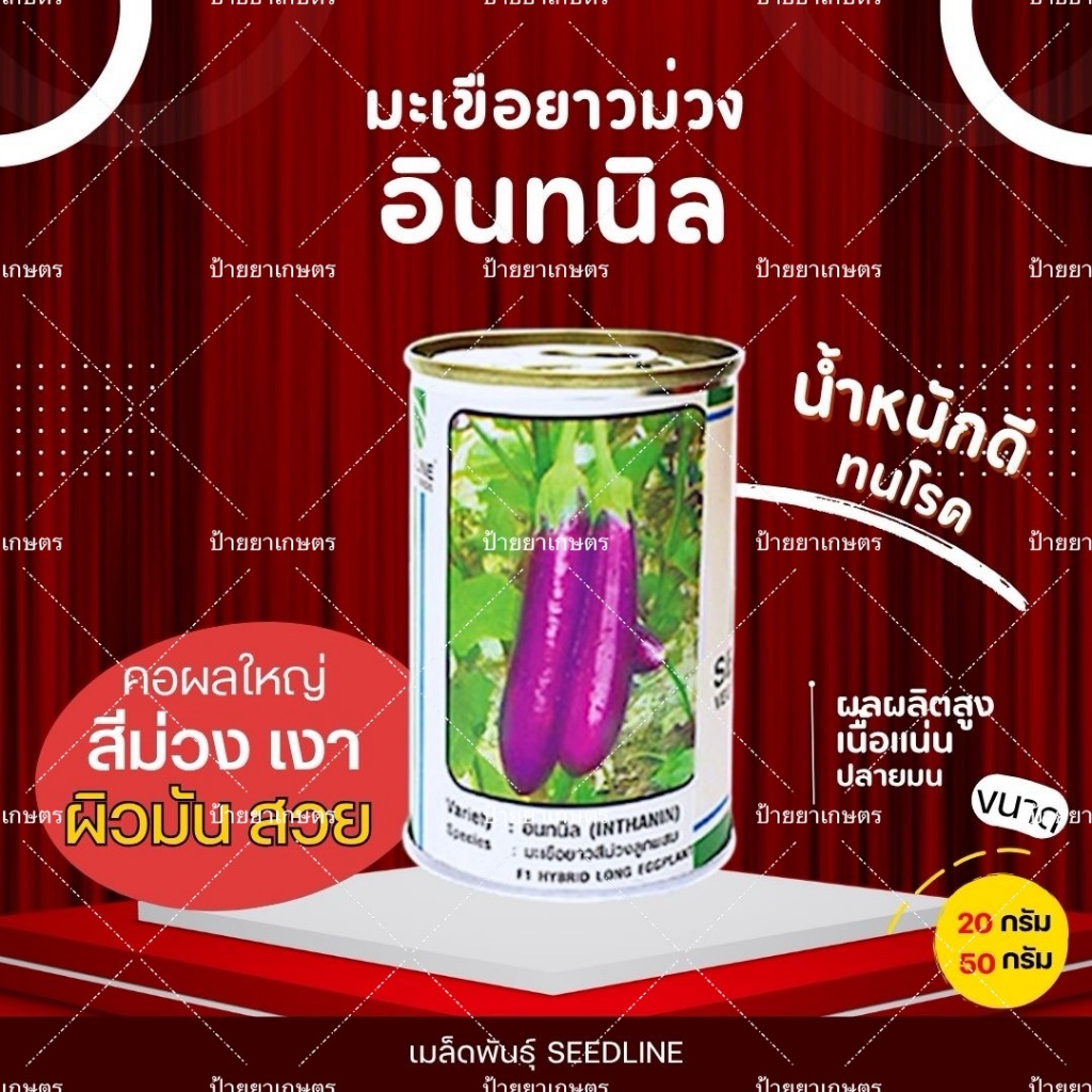 เมล็ดพันธุ์ มะเขือยาวม่วง อินทนิล F1 สีม่วงเข้ม ผิวเงา เนื้อแน่น ลูกดก ขนาด20กรัม 50กรัม ตราซีดไลน์