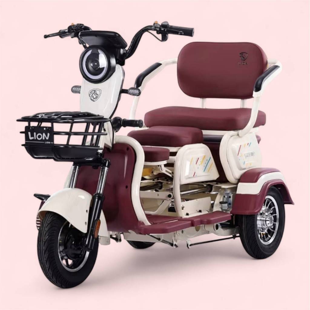 รถสามล้อไฟฟ้า Electric Tricycle ยี่ห้อ Lion รุ่น LNE-6602-3