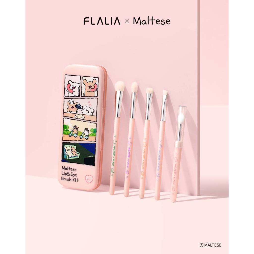 รวมแปรงเกาหลี เซตแปรงเกาหลี สุดคุ้ม