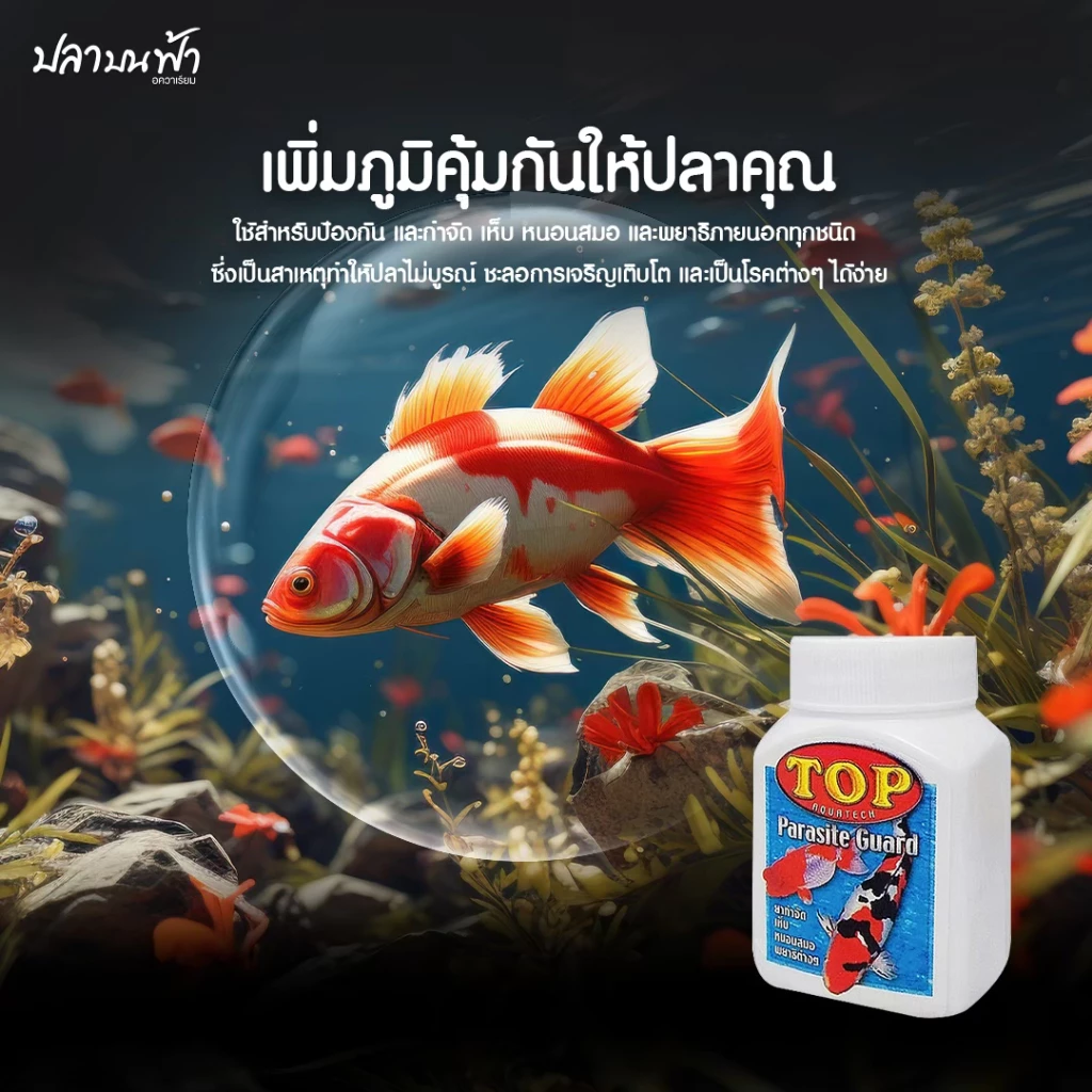 TOP PARASITE GUARD ผลิตภัณฑ์ควบคุมพยาธิภายนอกปลา สำหรับปลาสวยงาม ขนาด 50 กรัม thumbnail 3
