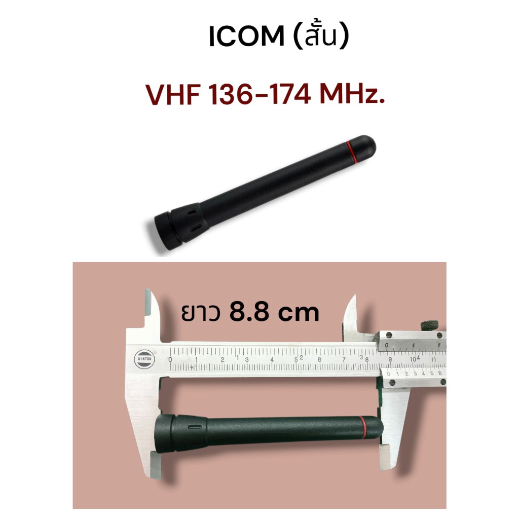 รูปภาพ 2