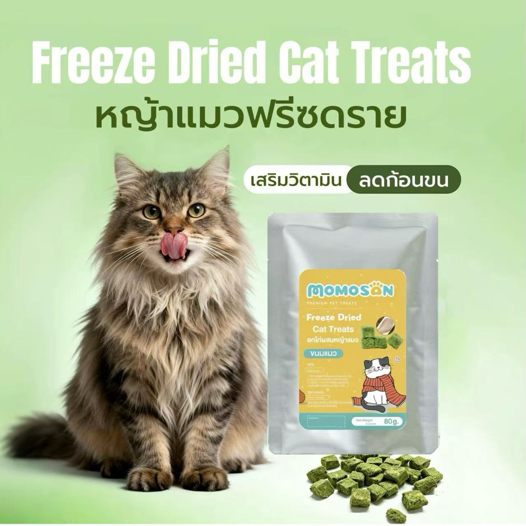 D หญ้าแมวฟรีซดราย [ถุงฟอยด์ 80 กรัม] Momosan Freeze dried Cat Treats เสริมวิตามิน ลดก้อนขน ต้นอ่อนข้