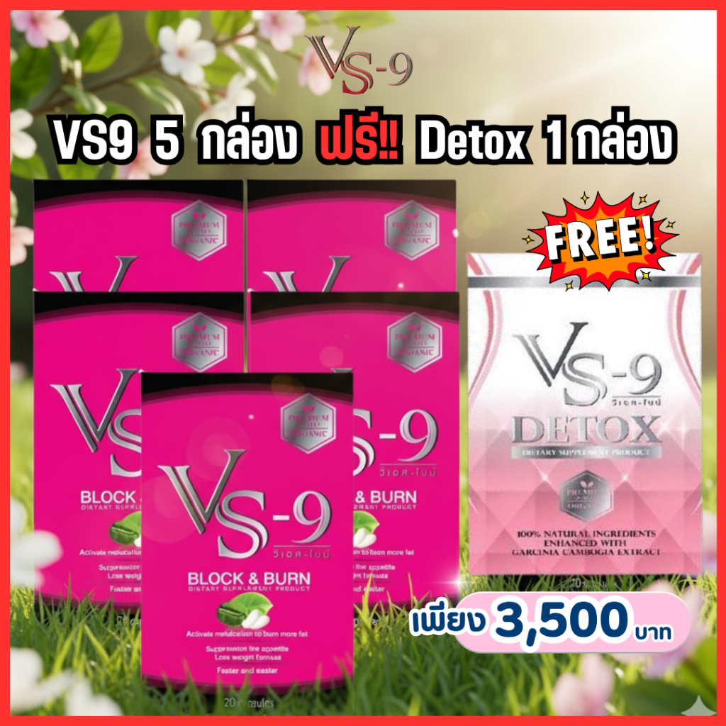 VS9  5 กล่อง ฟรี Detox 1 กล่อง : ผลิตภัณฑ์อาหารเสริมตราวีเอสไนน์ / VS-9
