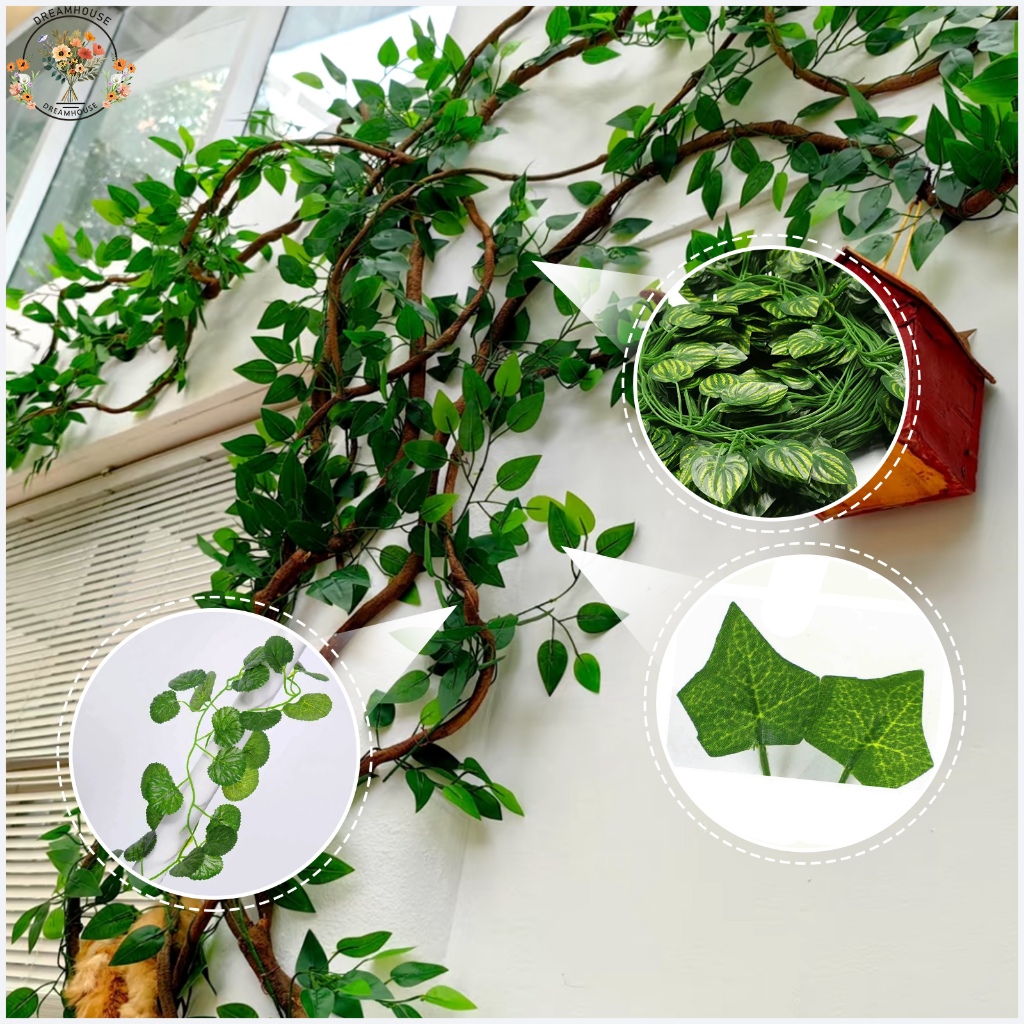 รูปภาพ 3