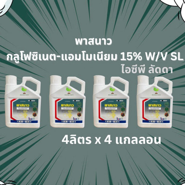 (เซต 4 แกลลอน) พาสนาว ไอซีพี ลัดดา กลูโฟซิเนต-แอมโมเนียม กำจัดวัชพืชทั้งใบแคบและใบกว้าง (4ลิตรx4แกลลอน)