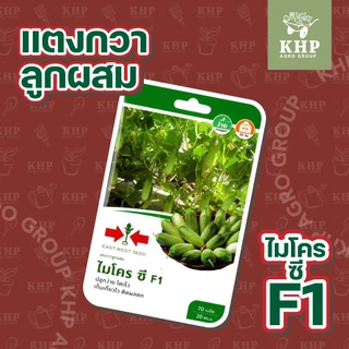 ขายส่ง ยกแพ็ต x 10 ซอง เมล็ดพันธุ์ผักซอง ศรแดง F1 คละชนิดได้ พันธุ์คัดพิเศษ F1- hybrid งอกดี โตไว ผลผลิตสูง