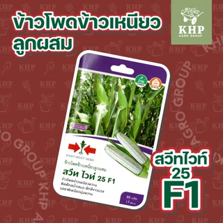 ขายส่ง ยกแพ็ต x 10 ซอง เมล็ดพันธุ์ผักซอง ศรแดง F1 คละชนิดได้ พันธุ์คัดพิเศษ F1- hybrid งอกดี โตไว ผลผลิตสูง